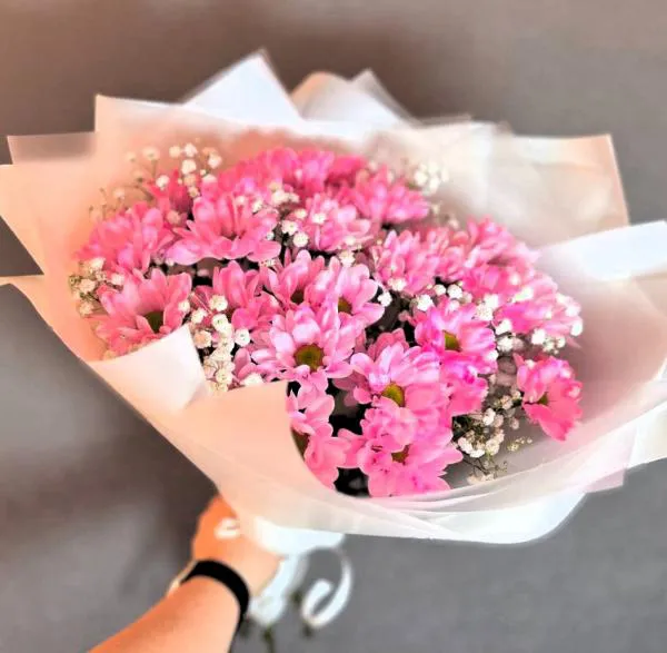 Розовая мечта