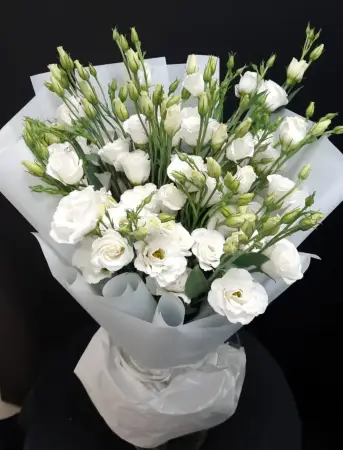 Утренний туман