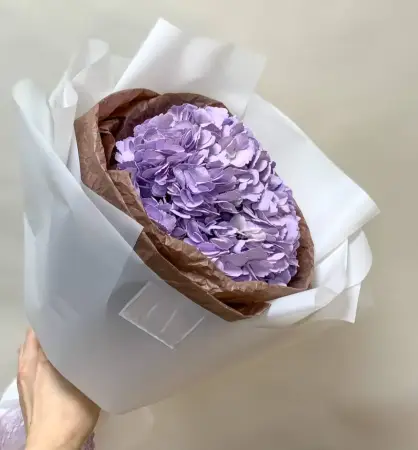 Лунный альбом